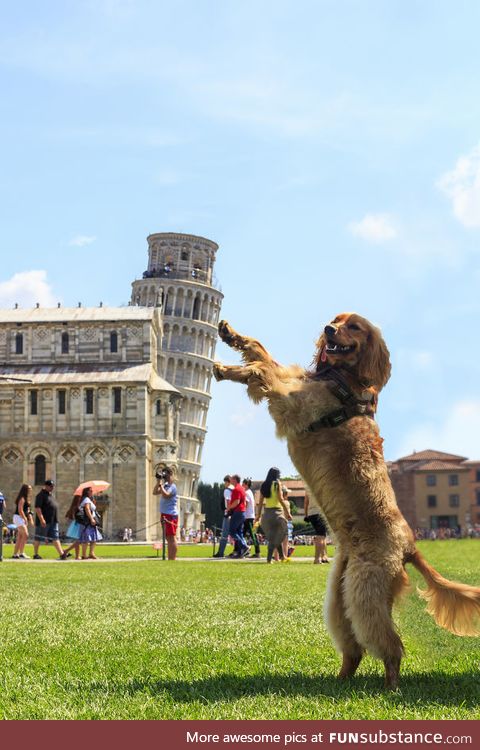 Pisa