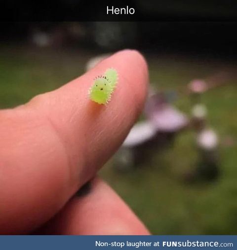 This made me smile!