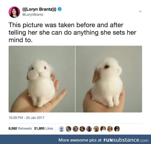 A bun