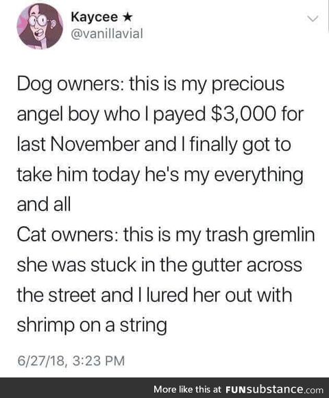 Dog/cat owners