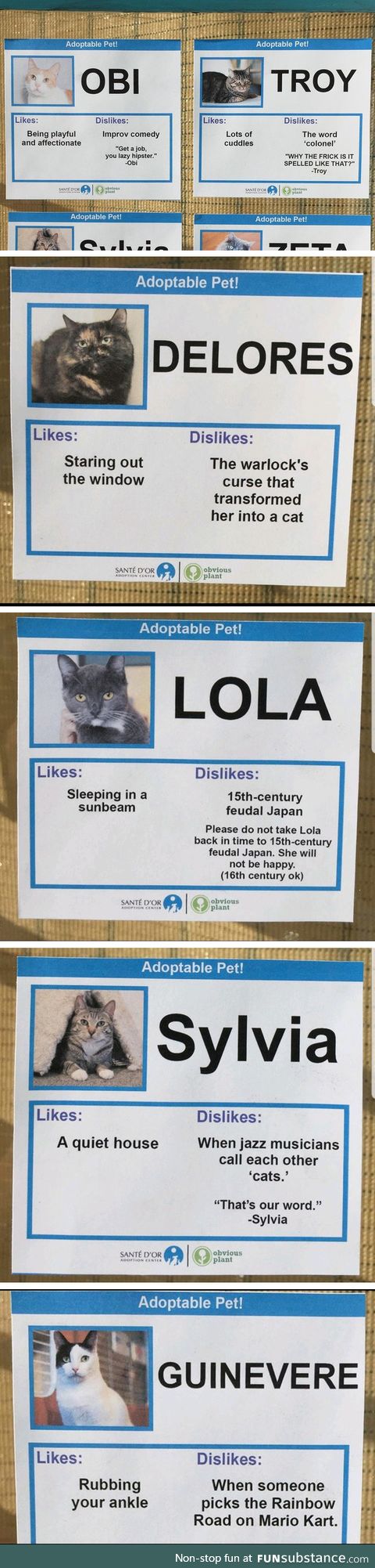 Adopt cats
