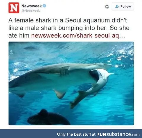 I guess she ate away her problem