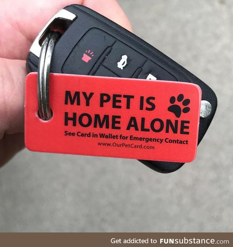 Great thing to have if you are a pet owner!