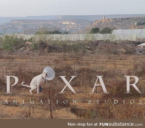 Pixar