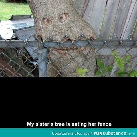 Hungry tree