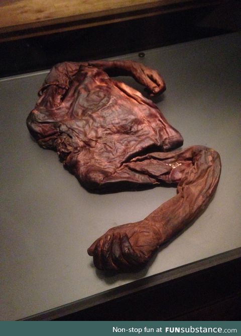 The "Old Croghan Man" Preserved torso of a man found in an Irish bog from 2000+ years ago