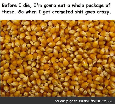 -Son. Bring me a lot of popcorn Kernels before I die. -Why? -Just Bring it Goddammit!