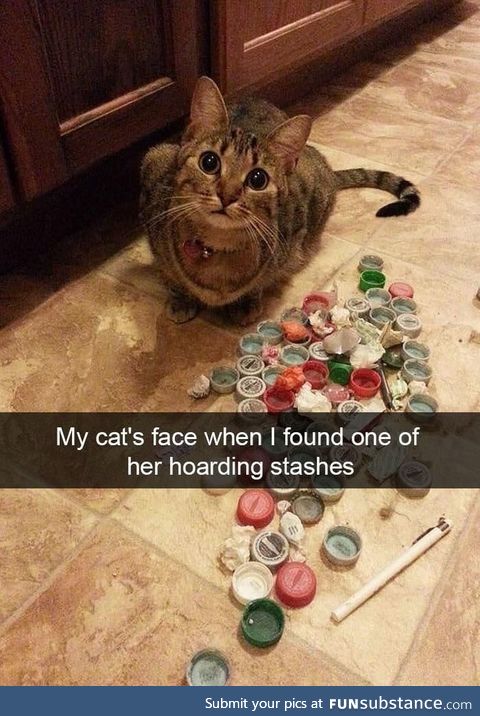 Hoarding