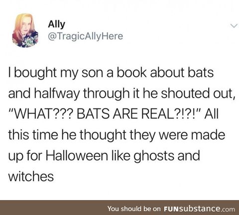 PSA: Bats are real