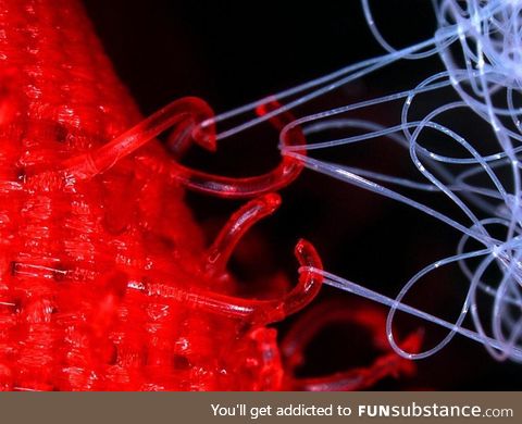 Velcro under a microscope