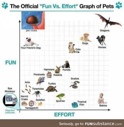 Graph of Pets