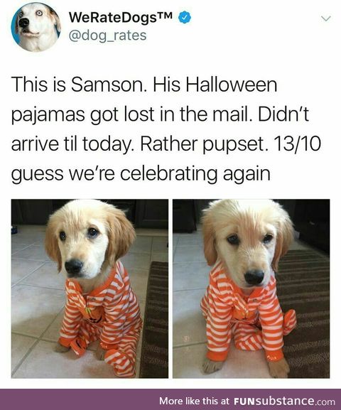 Samson is the best son