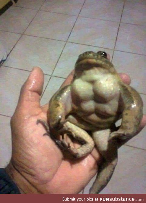 Rare buff pepe. Share to have eternal buffness