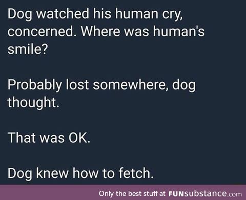 Dog use fetch