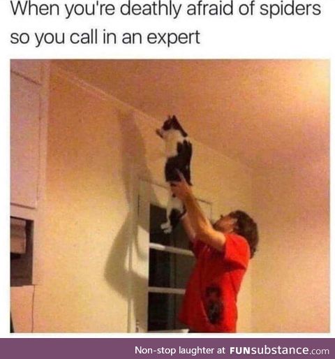 Expert