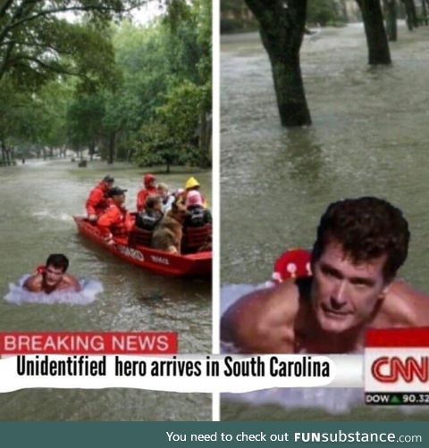 Hurricane Hassler Hasselhoff is on the case