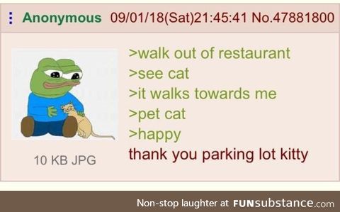 Thank your cats