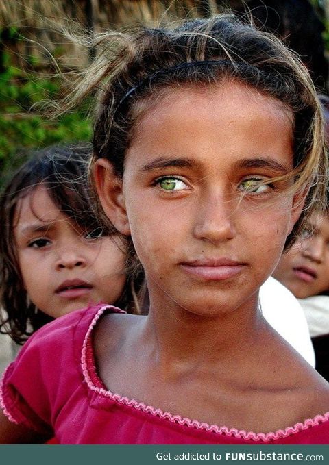 The green eyes of the Afghans
