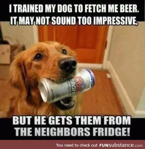 Training the dog to fetch beer