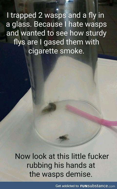 More like the fly's getting ready to get laid