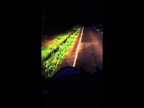 Scottish guys cursing at a rabbit that won't get off the road