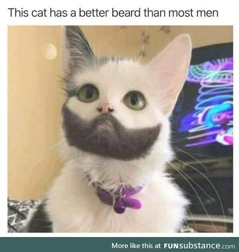 Better beard