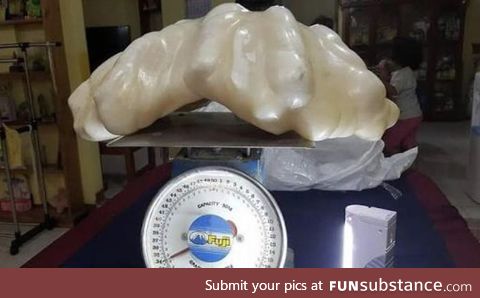 A fisherman finds a 34 Kg pearl valued over $100 million