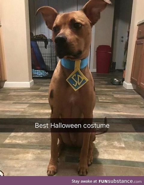 Halloween costume