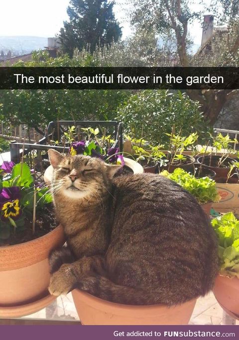 Getting some sun