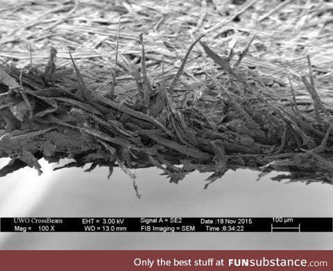 Edge of Paper in Microscope
