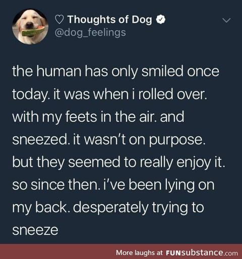 So pure