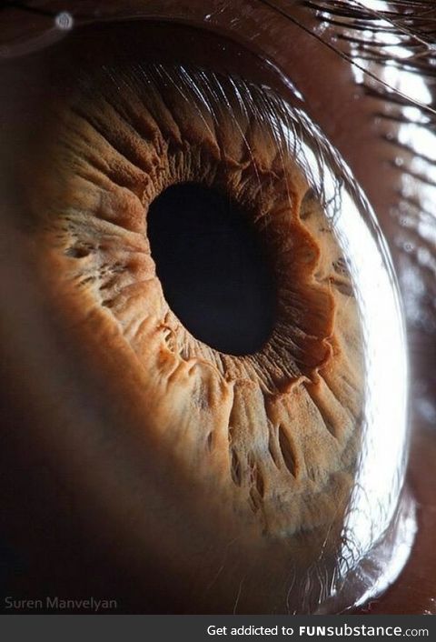 Close up of a human eye