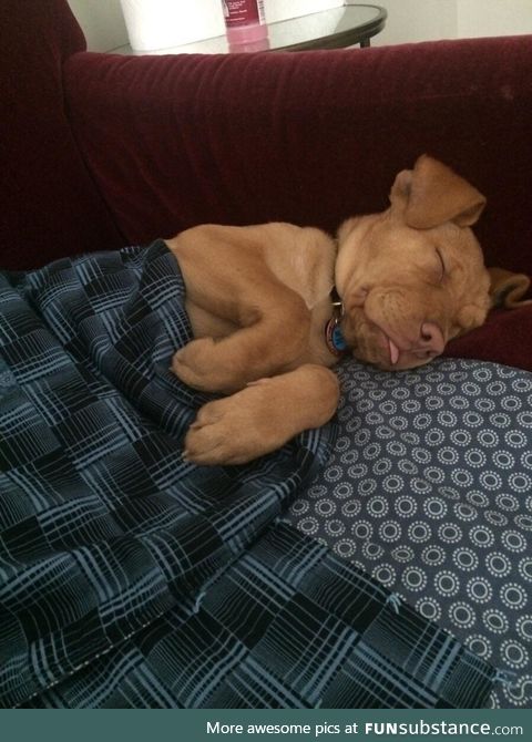 *snuggle into bed*