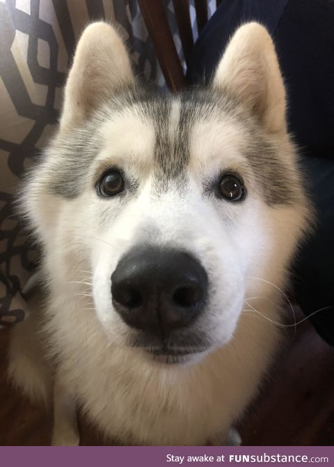 "cuddles? please?"