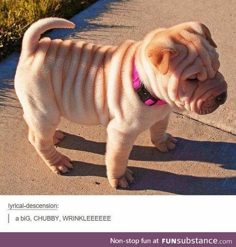 Petit croissant