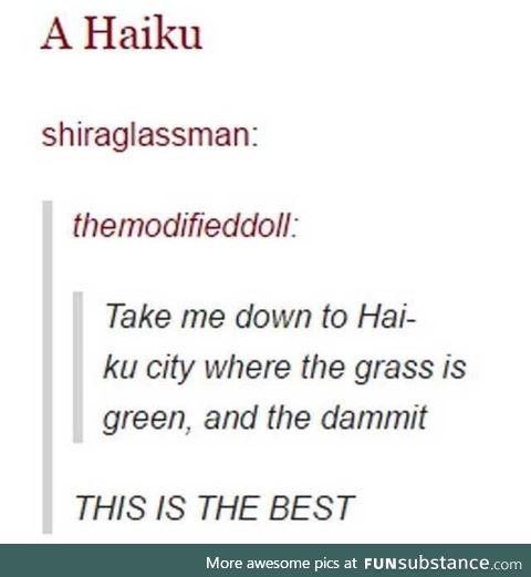 A haiku to brighten your day