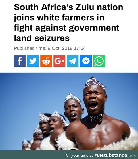 King Goodwill offered his 2.3 million hectares of land for white farmers to use