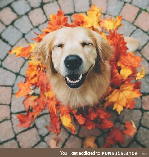 when you're happy and feel good :) ..