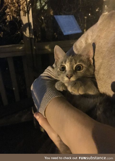 "why.. the sky gets dark?" (first time out at night / evening)