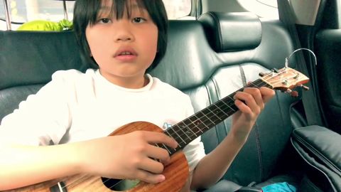 Kid murders The Cramberries on ukulele