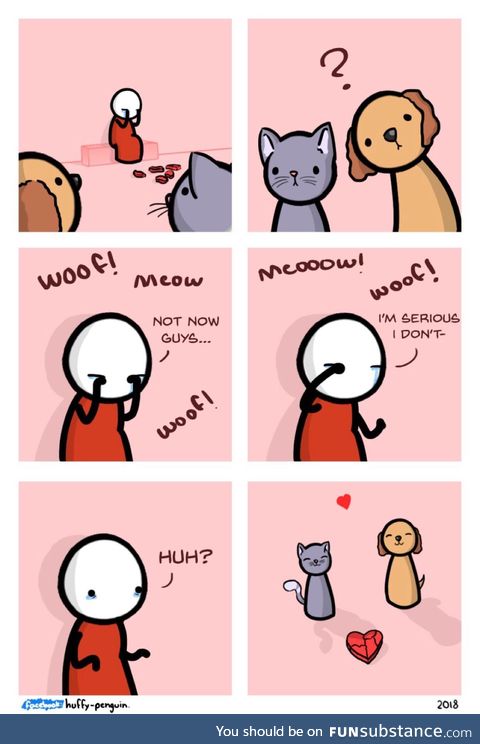 Pets are the cure to sadness