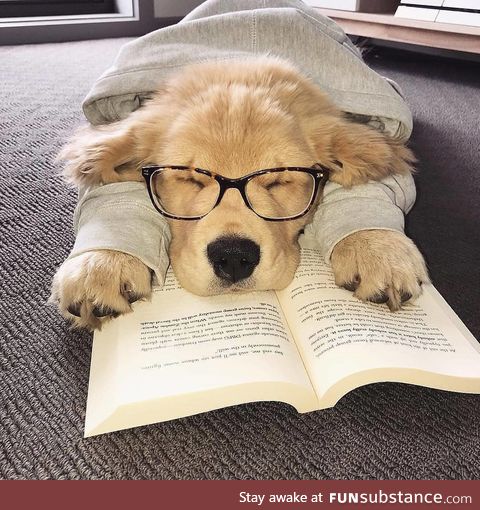 he did study all day.. now he's tired :3..