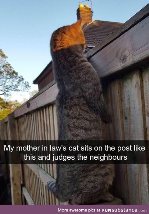 Judging the neighbors