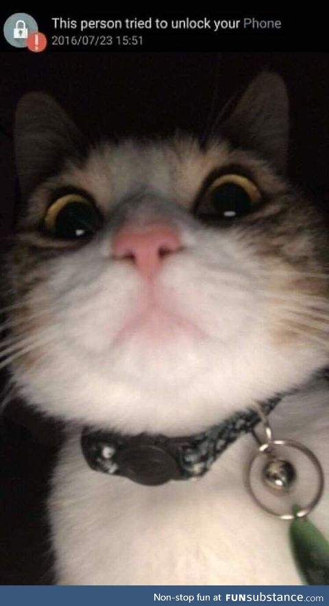 "dang it!"