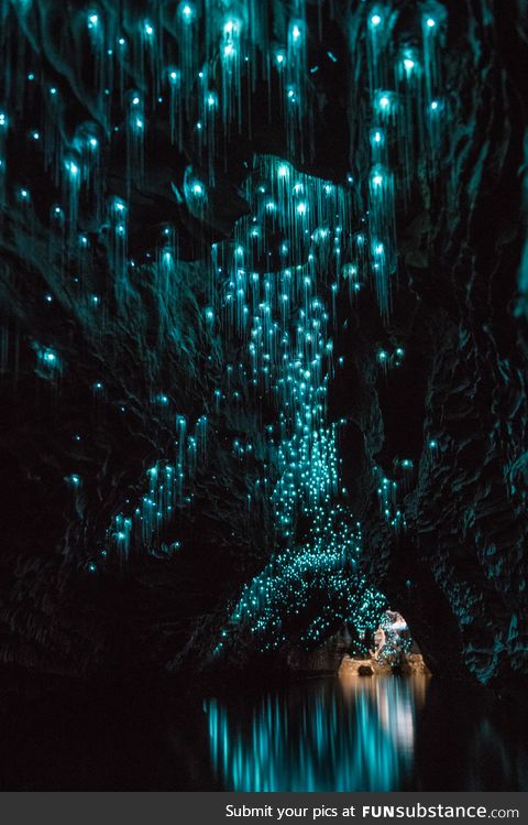 Waitomo Glow Worm Caves, New Zealand