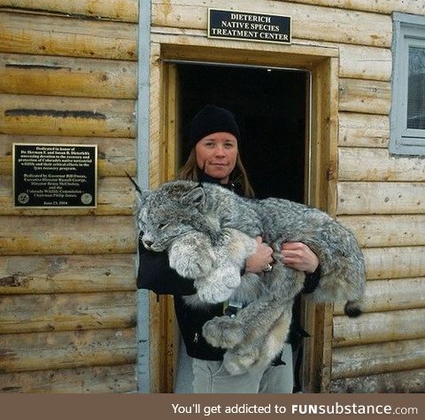 "hooman.. one last time.. i'm not your kitty cat.."