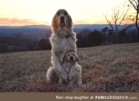 proud mommy :)