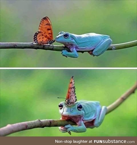 better love story than twilight..