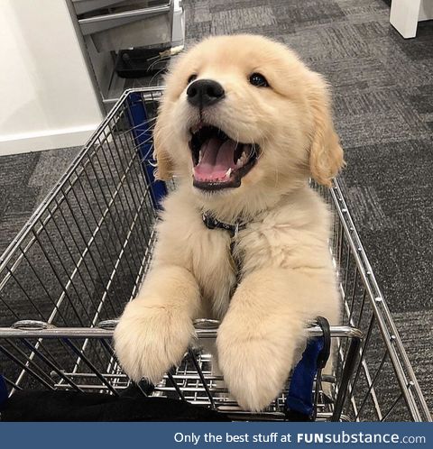 "yaaaaayyyy :)"