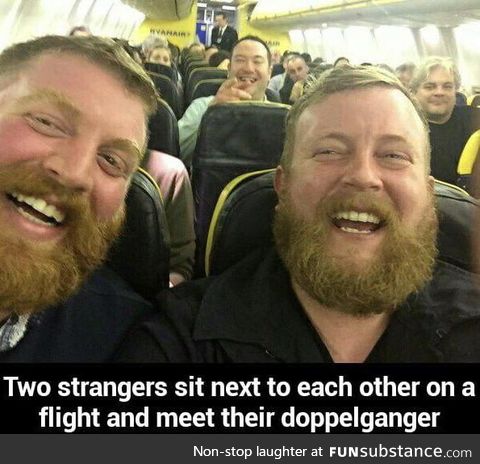 Copy , paste ?